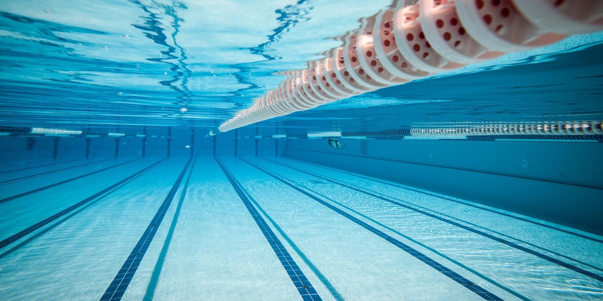 Sir Ben Ainslie Sports Centre Wordpress Website Design Banner
