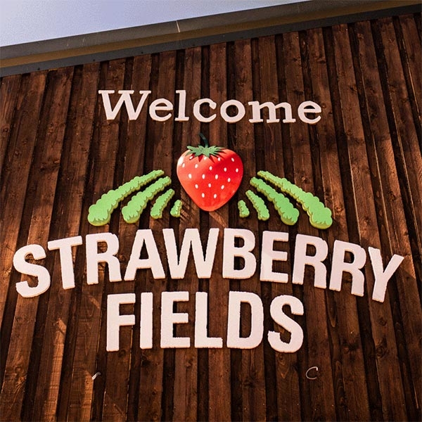 Strawberry Fields Wordpress Website Design Featured Image