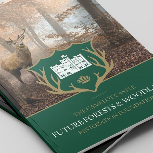 Camelot Castle Print Design Featured Image
