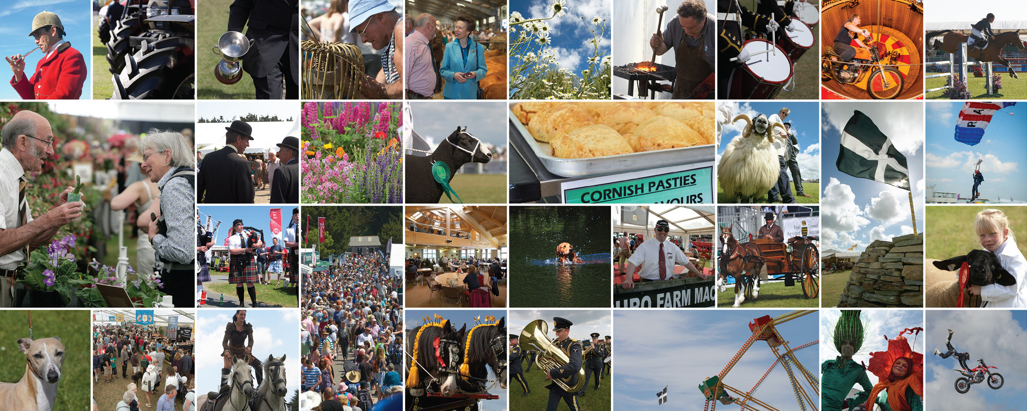 Royal Cornwall Show Print Design