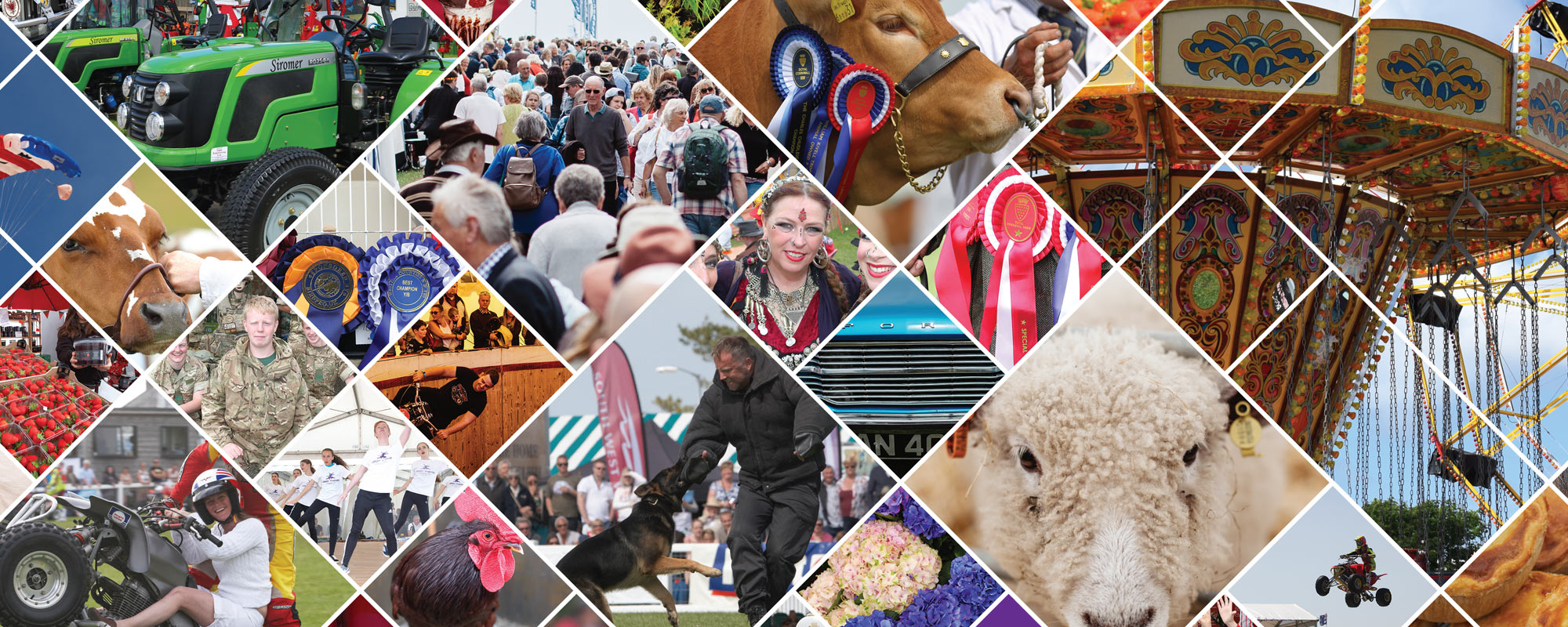 Royal Cornwall Show Print Design