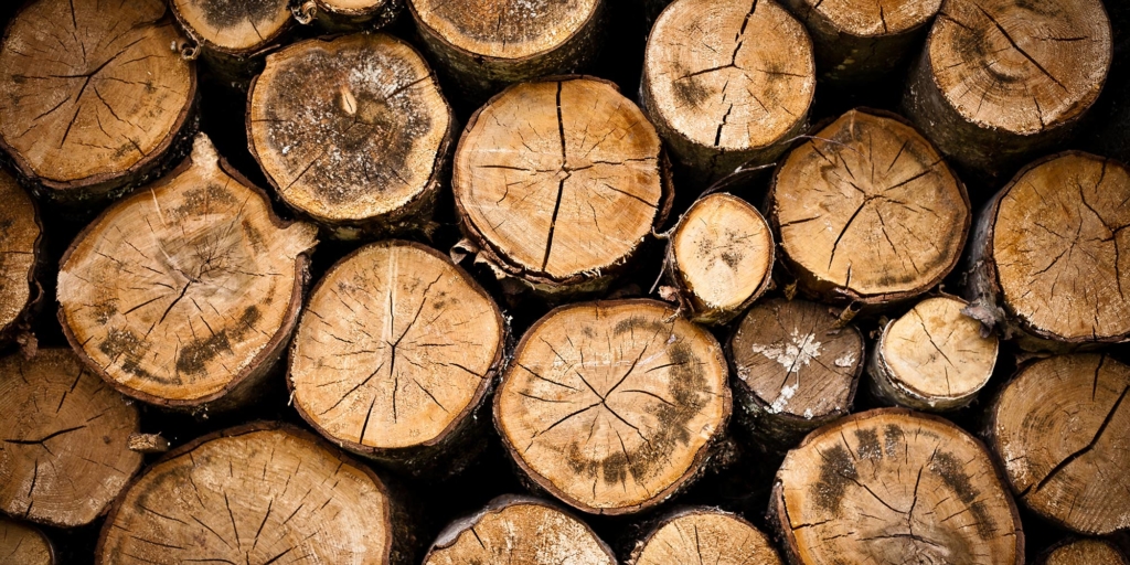 Bradfords Logo Design in Cornwall from Cape Creative