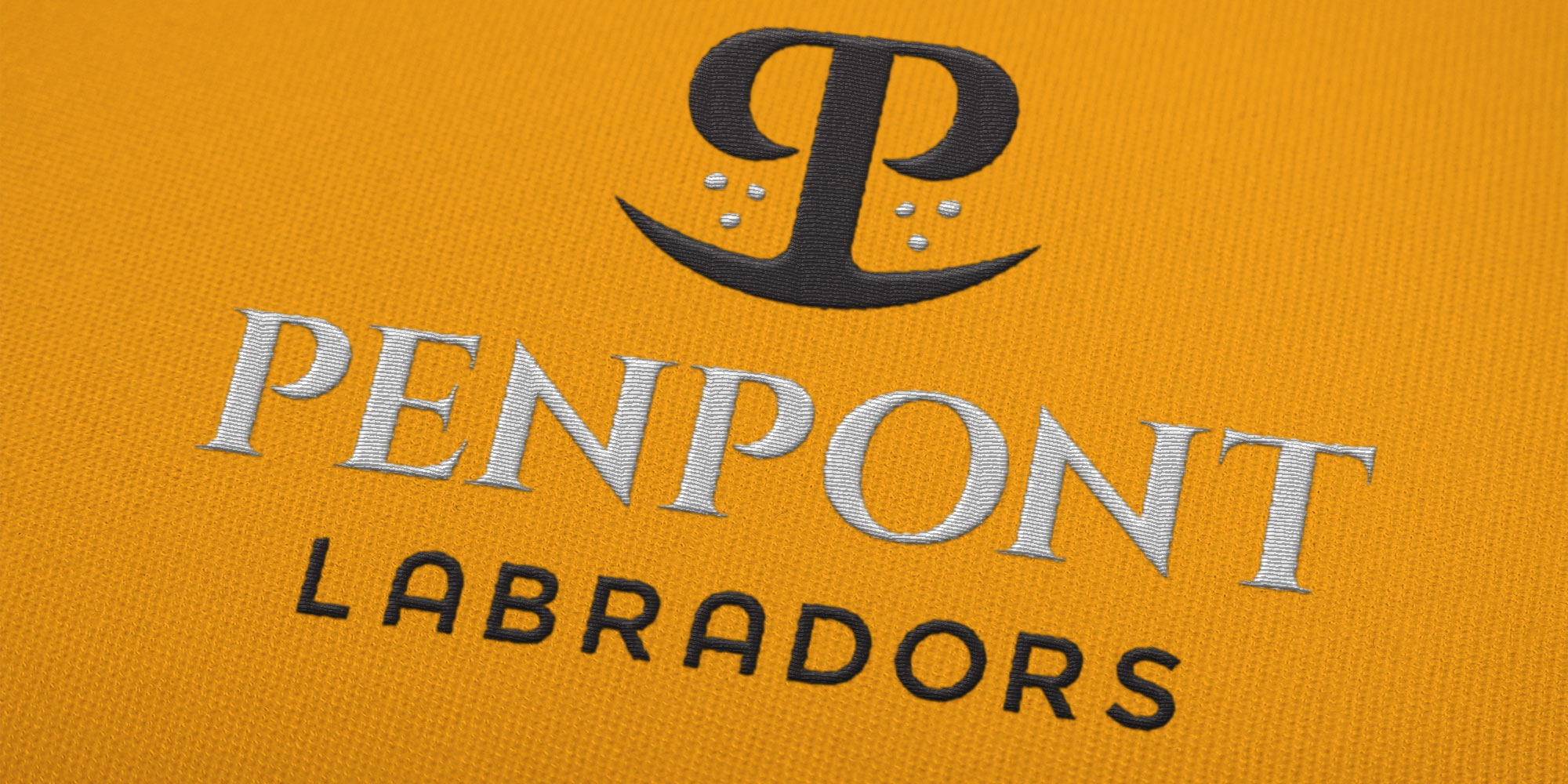 Penpont Labradors Logo Design on Uniform