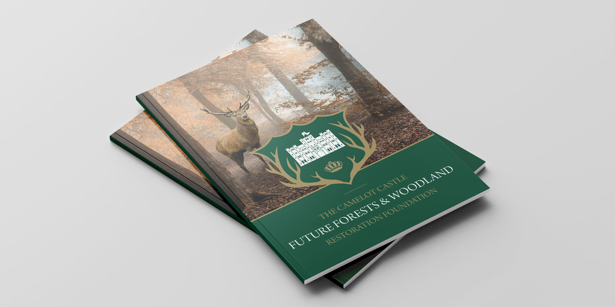 Camelot Castle Booklet Design