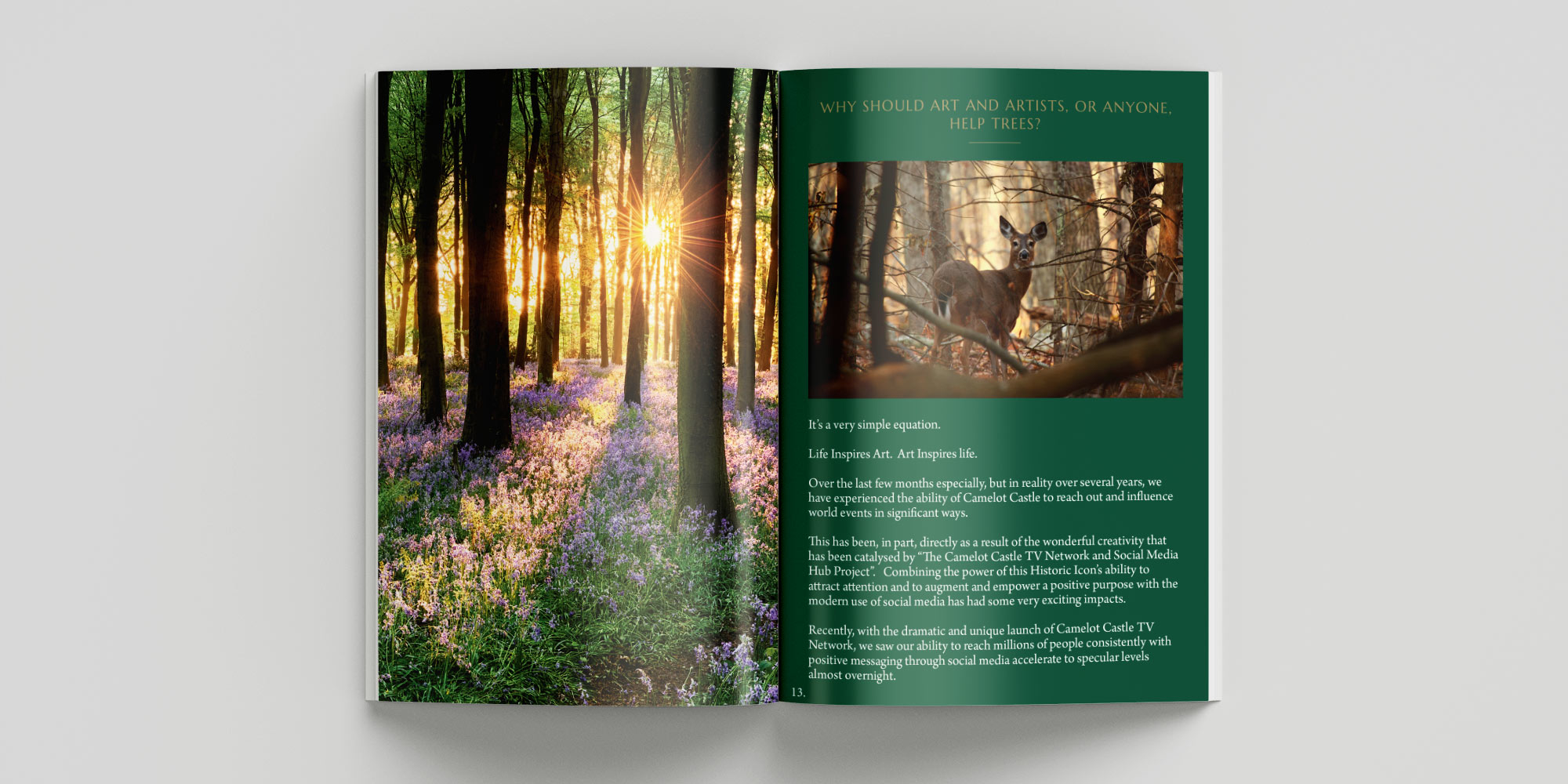 Camelot Castle Print Design