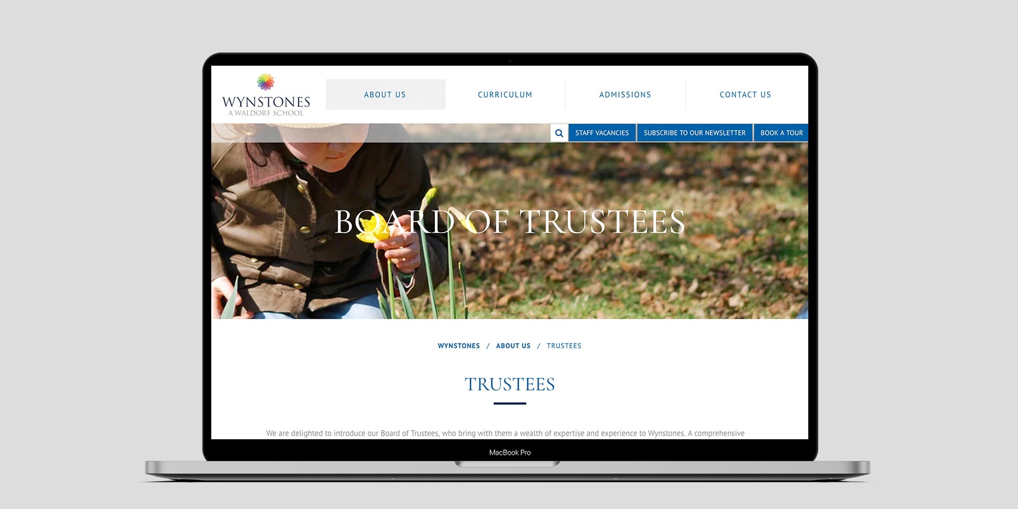 Wynstones Website Design Cornwall
