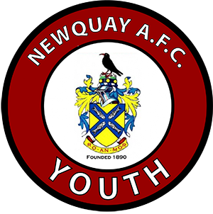 Newquay AFC Youth Logo