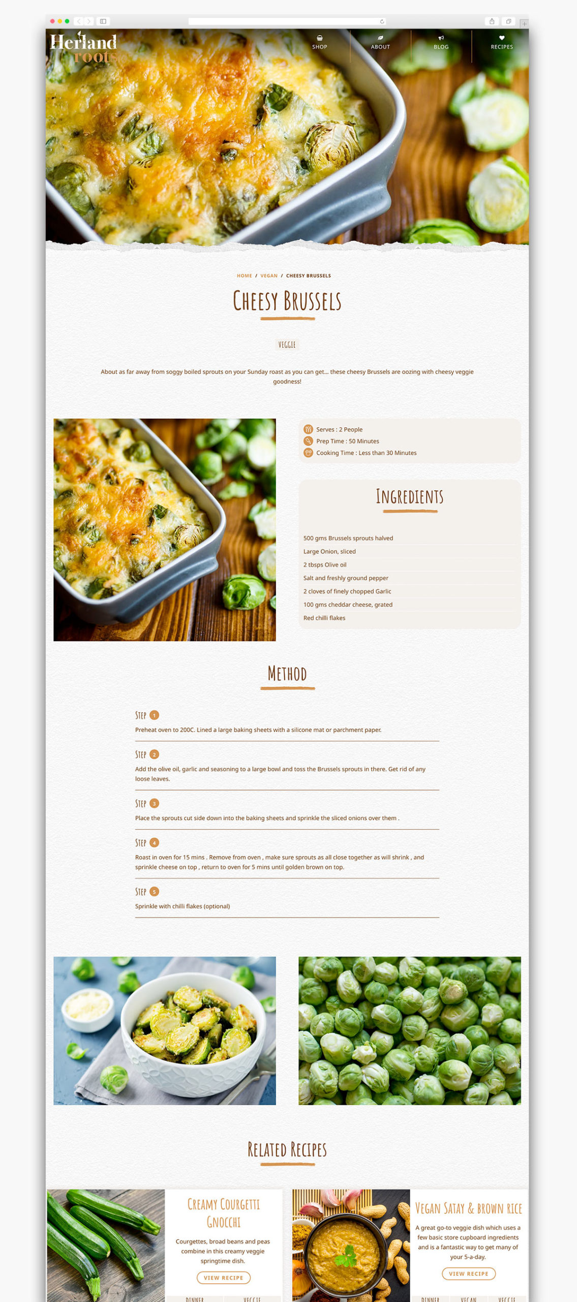 Herland Roots Website Design