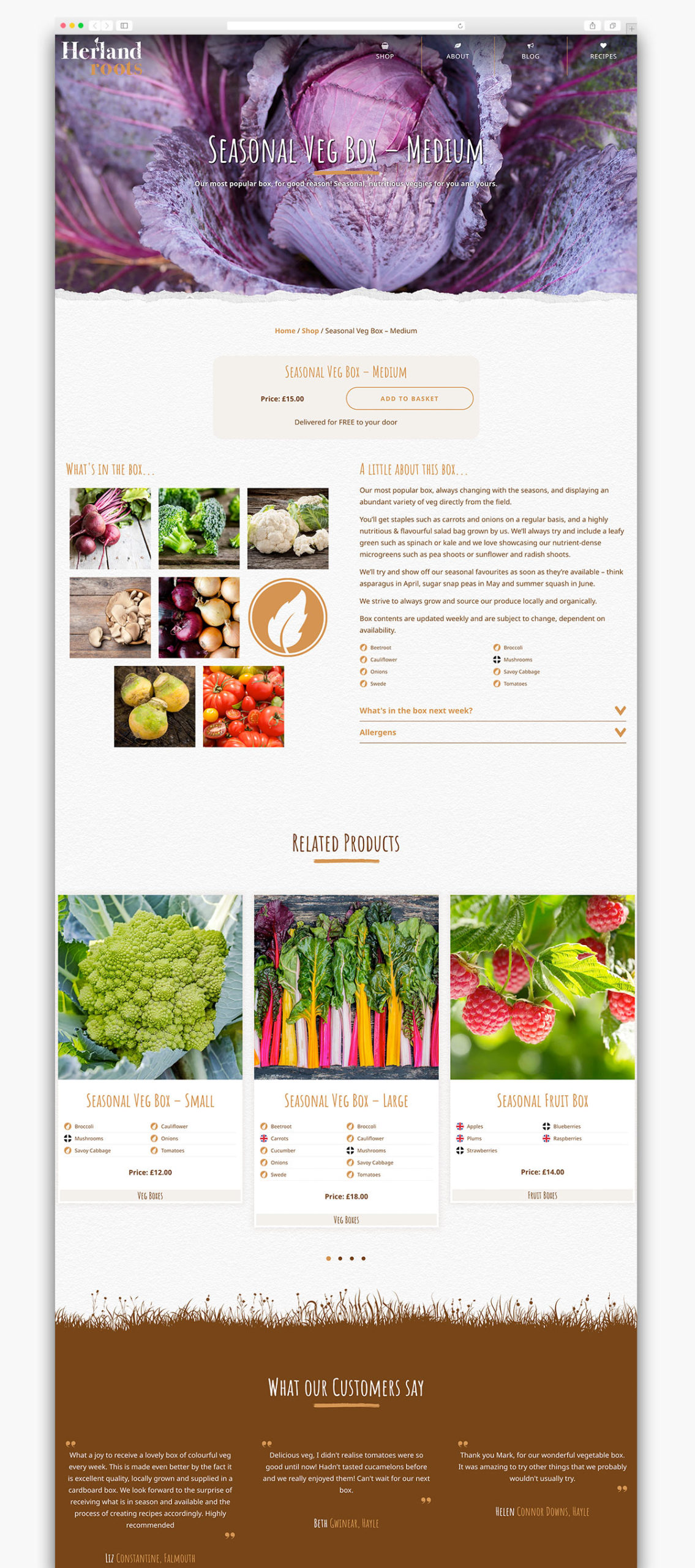 Herland Roots Website Product Design Cornwall