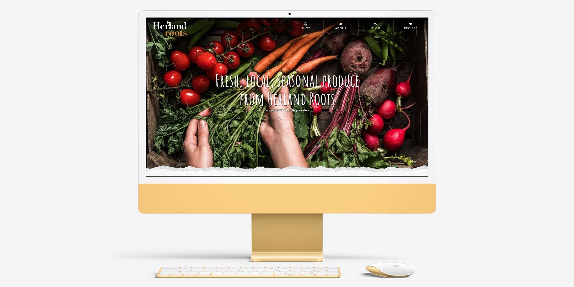 Herland Roots Website Design Cornwall on dektop