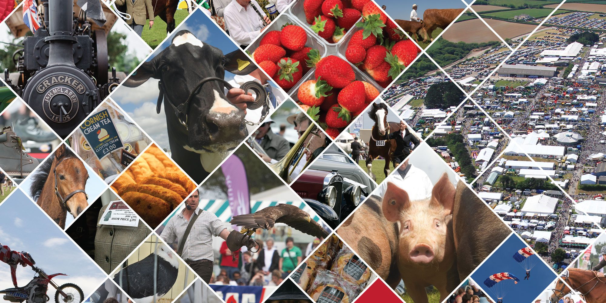 Royal Cornwall Show Print Design Project