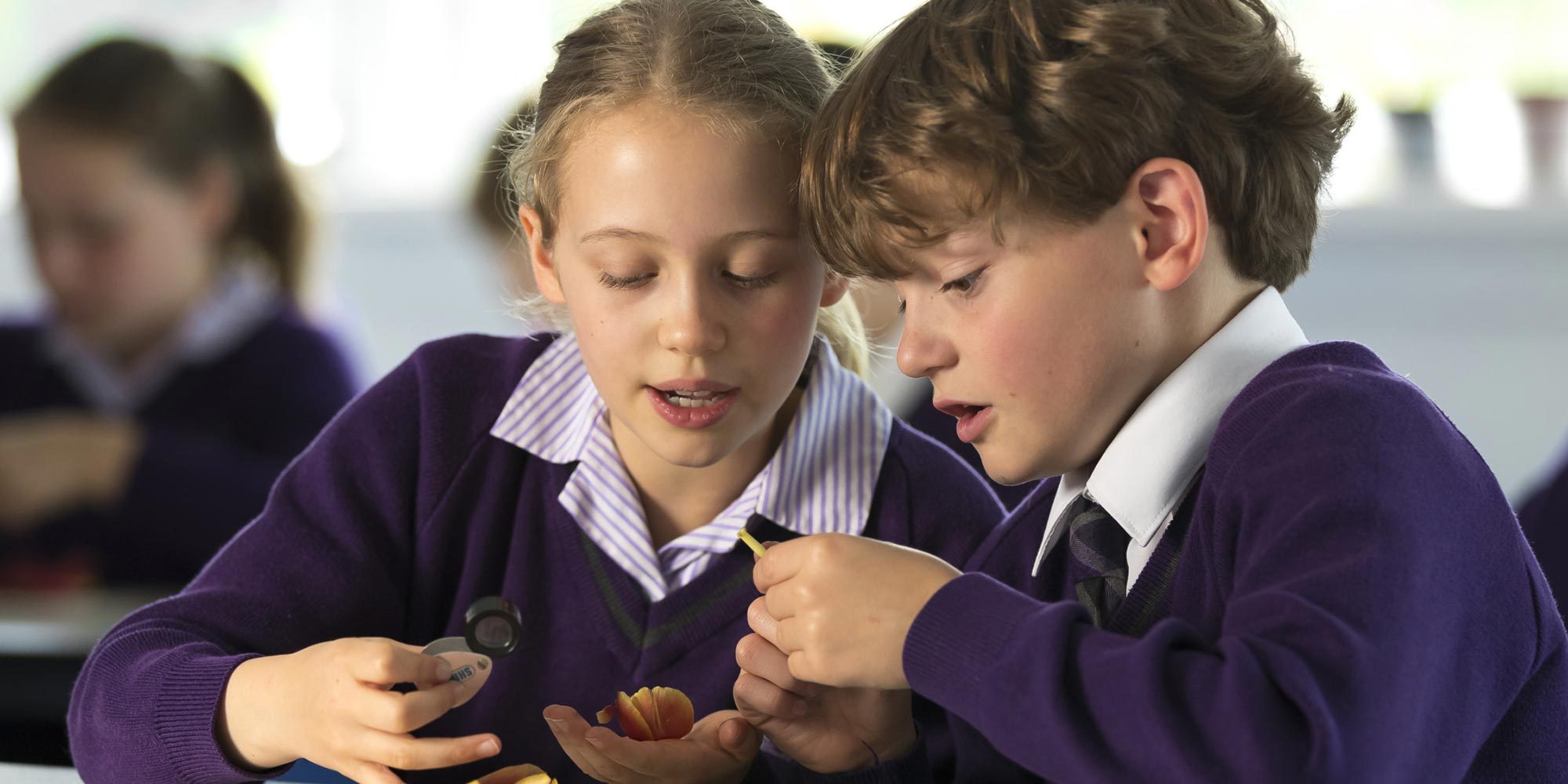 Wycliffe College Wordpress Website Design Project